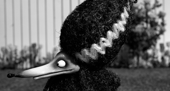 Frankenweenie image