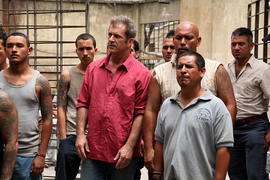 Get the Gringo image