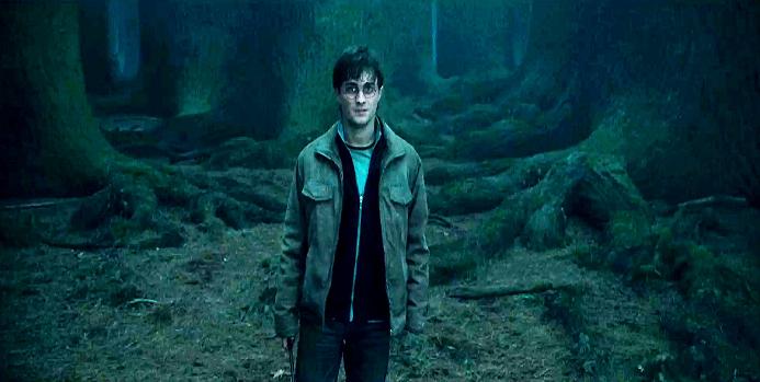 Harry Potter and the Deathly Hollows Pt1 image 09