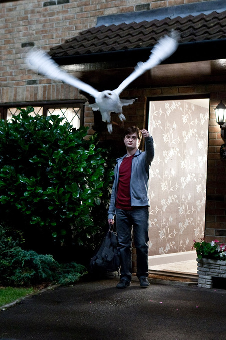 Harry Potter and the Dethly Hollows image