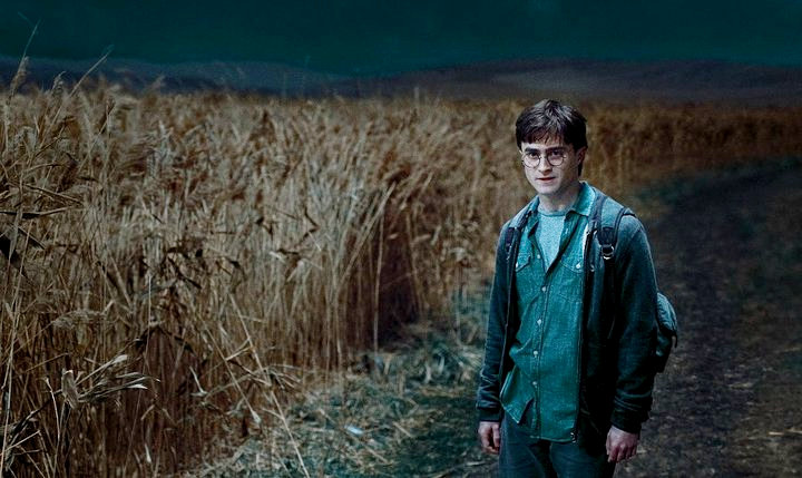 Harry Potter and the Deathly Hollows image