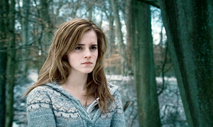 Harry Potter and the Deathly Hollows image