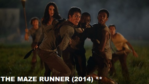 The Maze Runner image