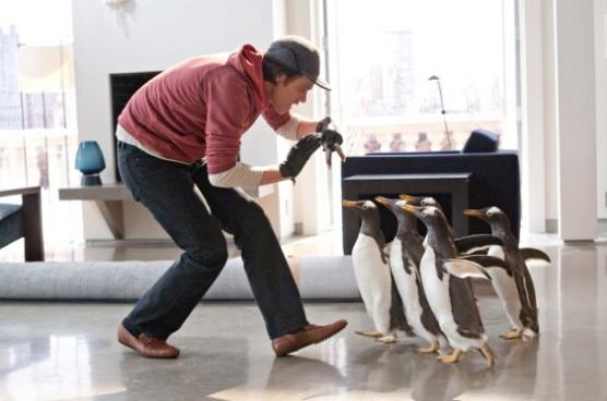 Mr Poppers Penguins image