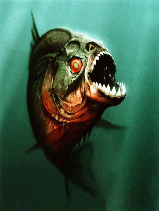 Piranha image