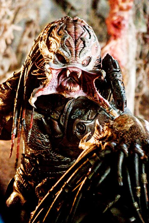Predators image 03