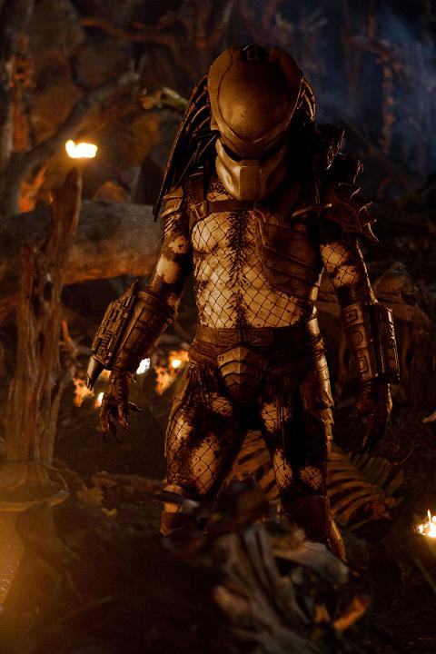 Predators image 15