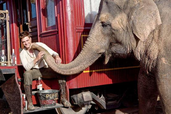 Water for Elephants image