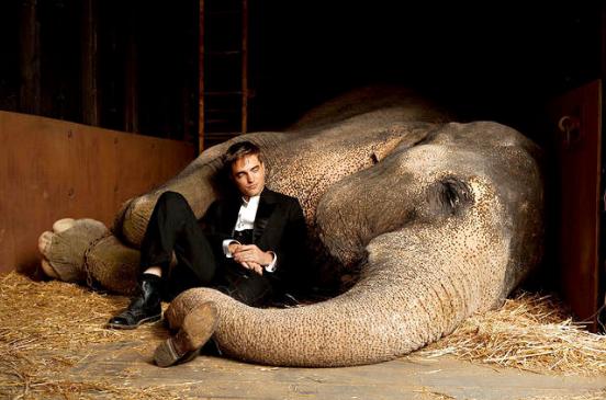 Water for Elephants image