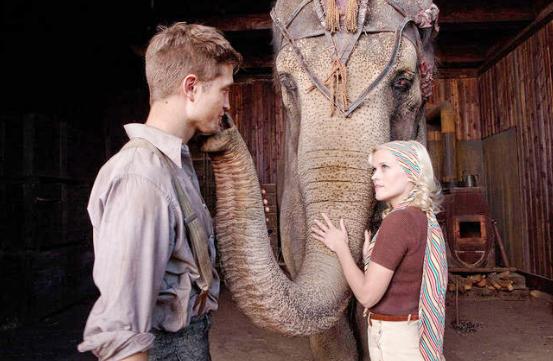Water for Elephants image