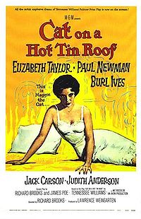 Cat on a Hot Tin Roof poster