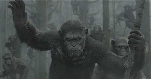 Dawn of the Planet of the Apes image