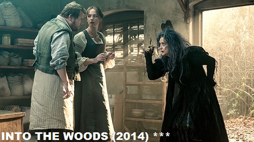 Into the Woods image