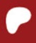Patreon icon