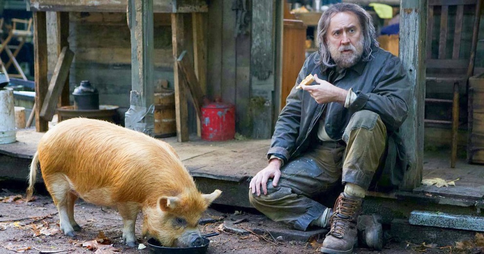 Pig image