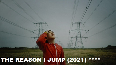 The Reason I Jump image