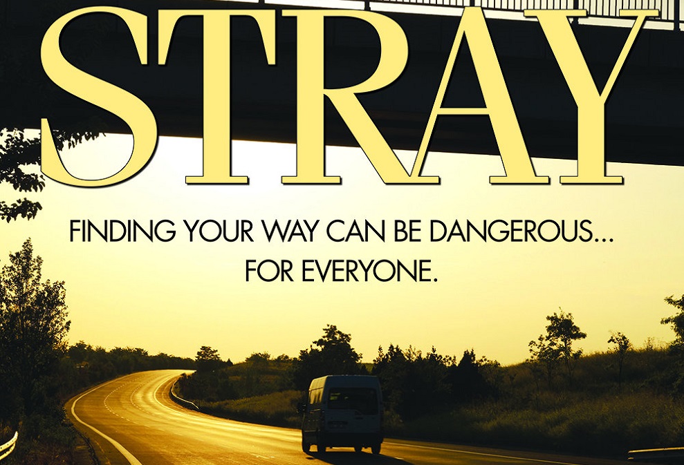 Stray poster