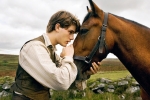 War Horse image
