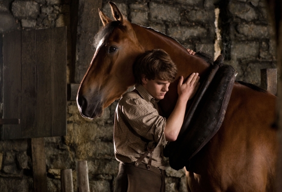 War Horse image